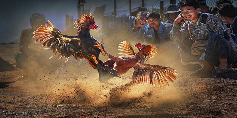 zet bet xổ số bữa nay