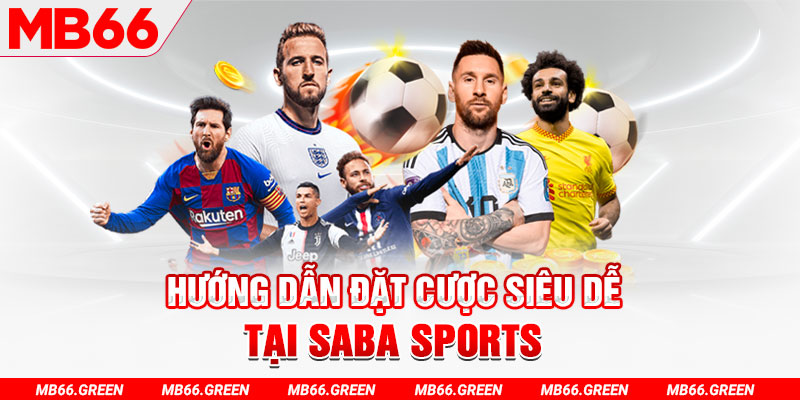 zet bet trực tiếp gà chọi c1