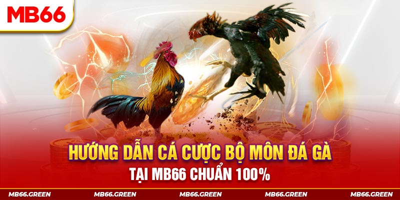 zet bet slot là gi