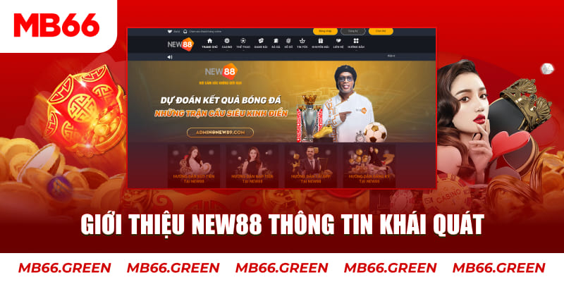 zet bet Tung Đồng Xu