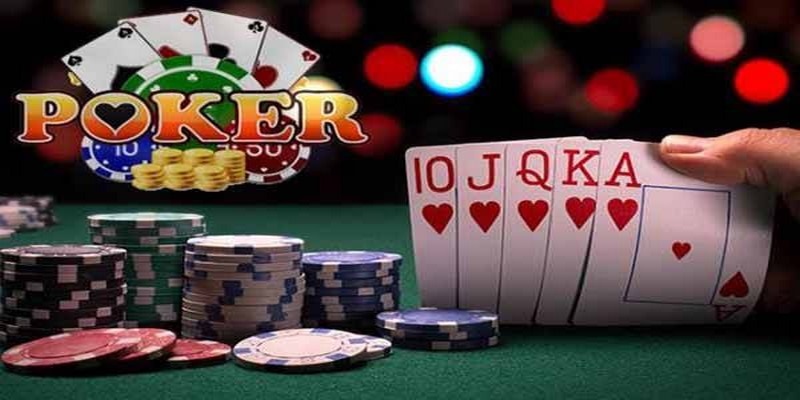 zet bet xổ số hà nội hôm nay