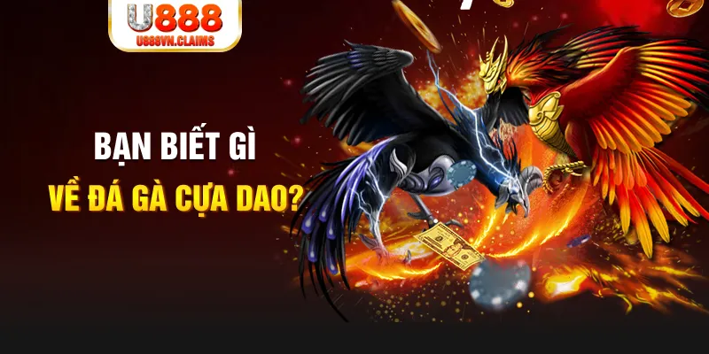 zet bet SW Xổ Số