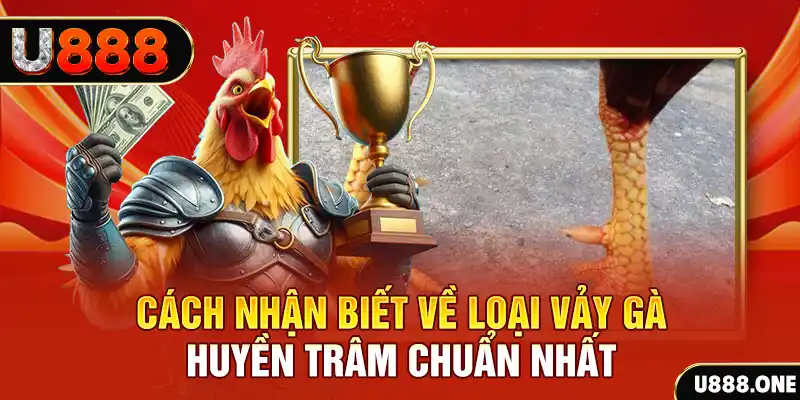 zet bet đăng nhập nổ hũ số 1