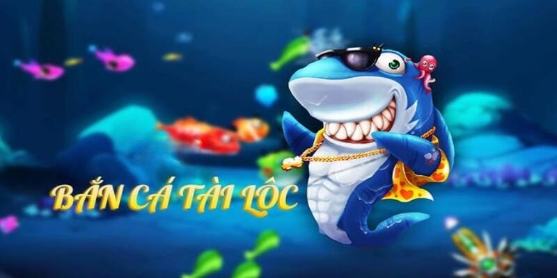 zet bet DB Trực Tuyến