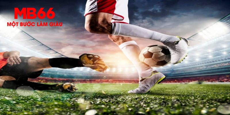 zet bet trực tiếp đá gà thomo