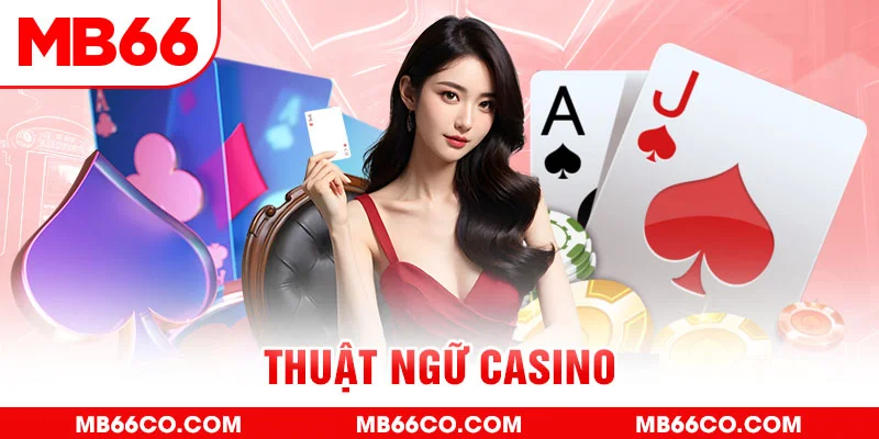 zet bet gà chọi c1 mới nhất
