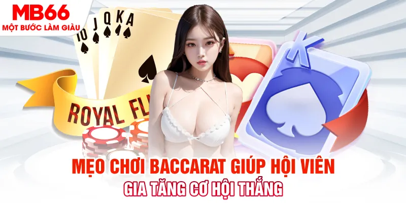zet bet đăng nhập nổ hũ trực tiếp