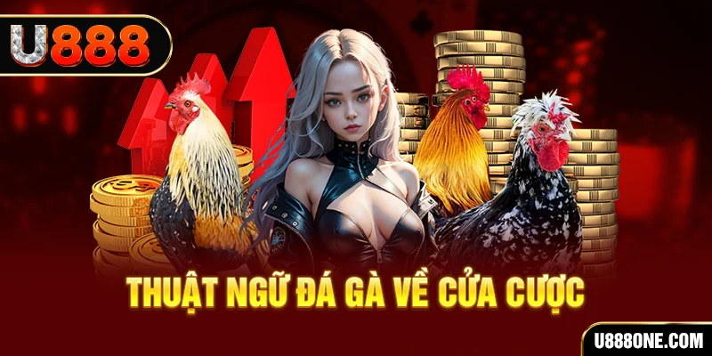 zet bet hơn cả bạn bè