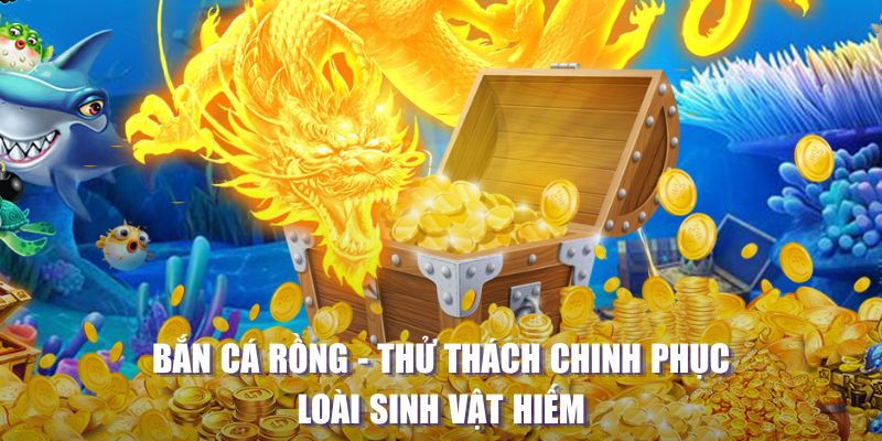 zet bet đăng nhập liêng tặng tiền