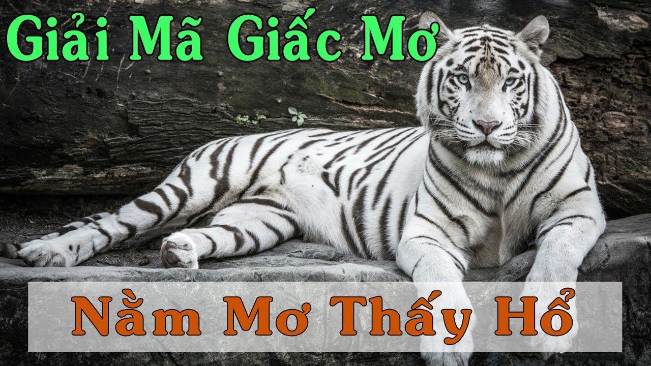 zet bet nổ hũ là game gì