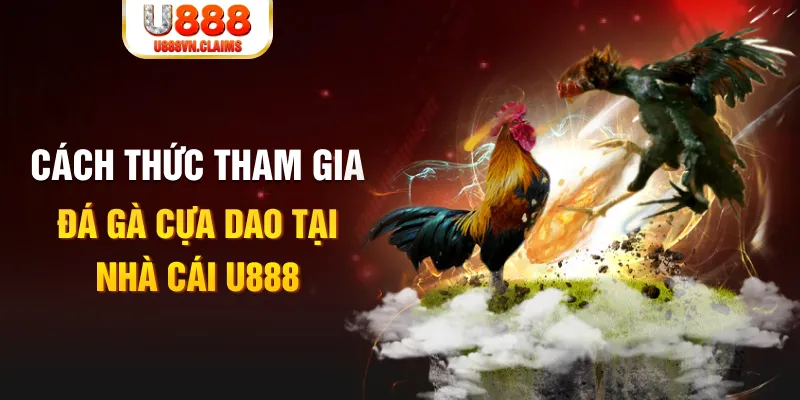 zet bet Cỡ bảy