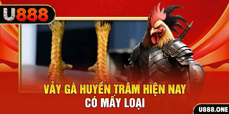 zet bet casino online là gì