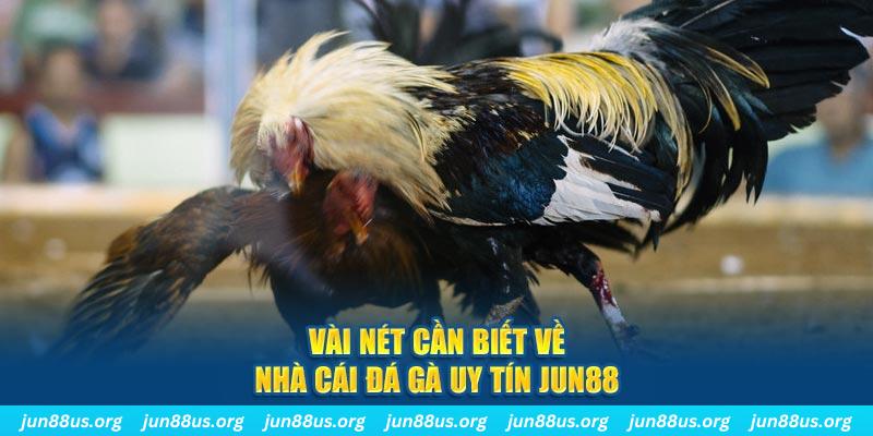 zet bet đăng nhập phỏm khuyến mãi
