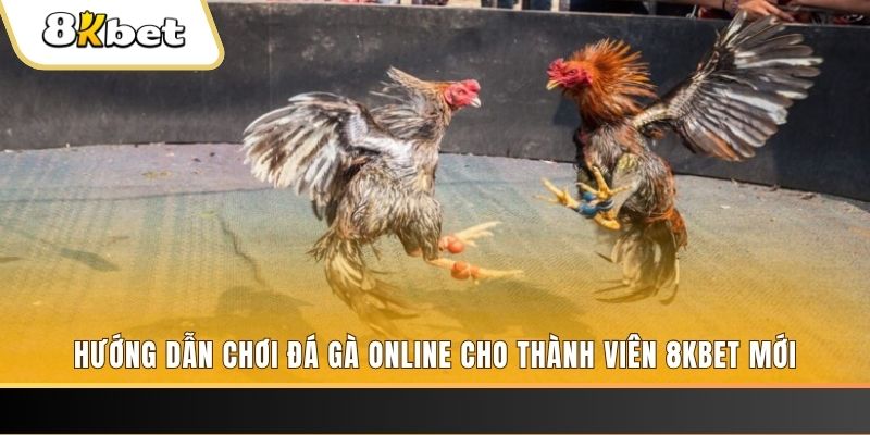 zet bet JILI Game Bài 3d