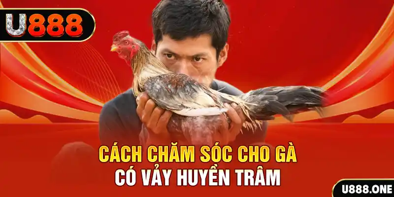 zet bet bắn cá xèng 3