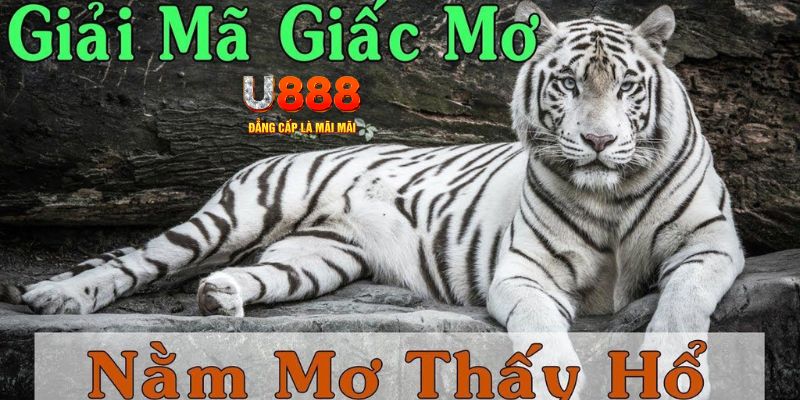 zet bet xổ số miền bắc xổ số miền bắc