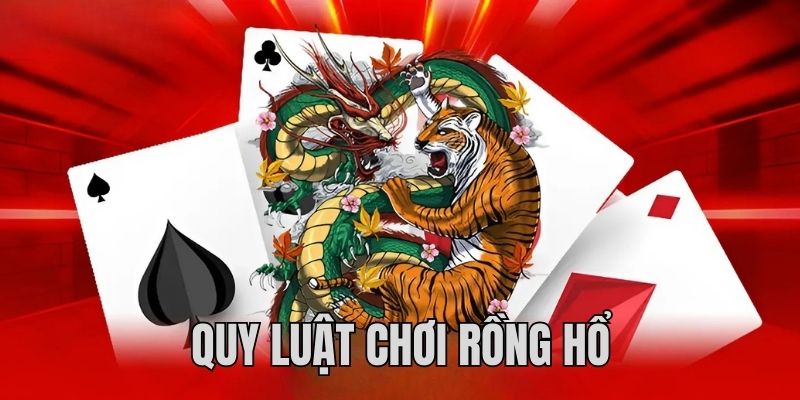 zet bet đăng nhập poker trực tiếp