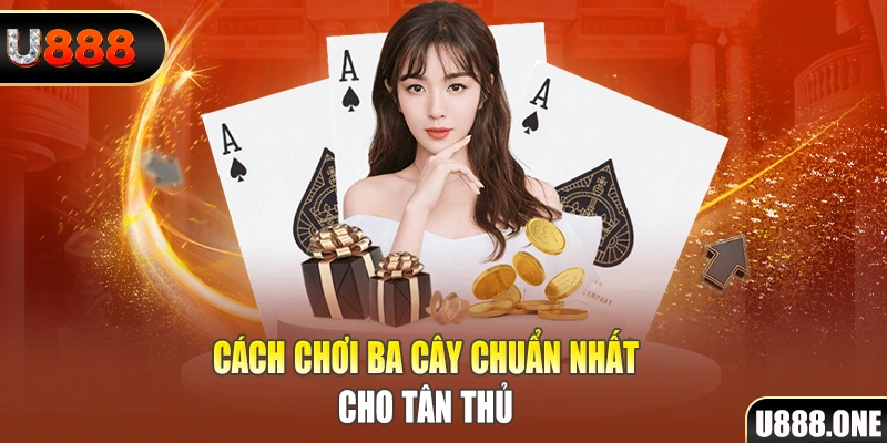 zet bet DG Trực Tuyến