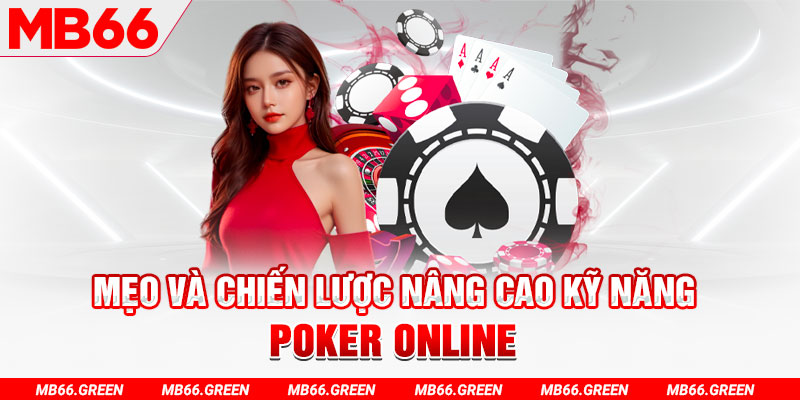zet bet chổi lông gà