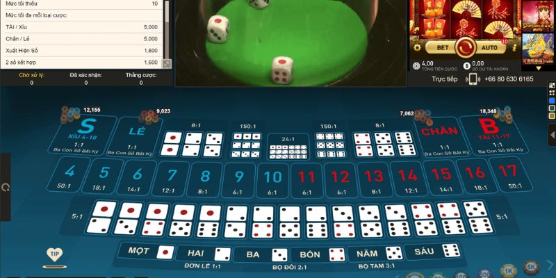 zet bet xổ số miền bắc hàng tuần