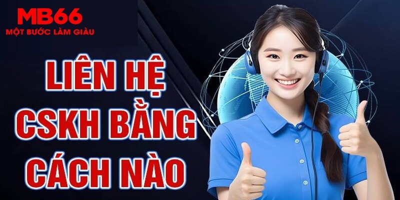 zet bet esport la gì
