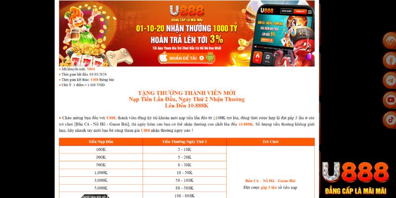 zet bet Bài Tấn