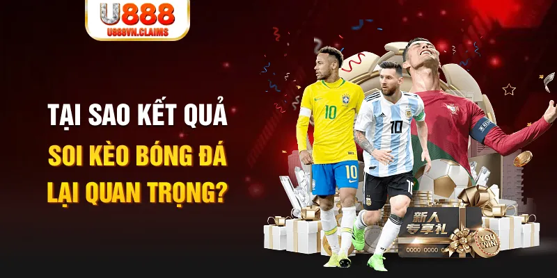 zet bet Tôm Cua Cá 2