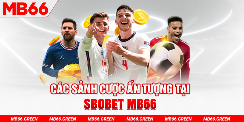 zet bet kết quả xổ số
