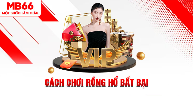 zet bet xổ số hôm nay miền bắc