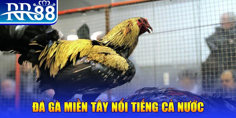 zet bet xổ số đại phát