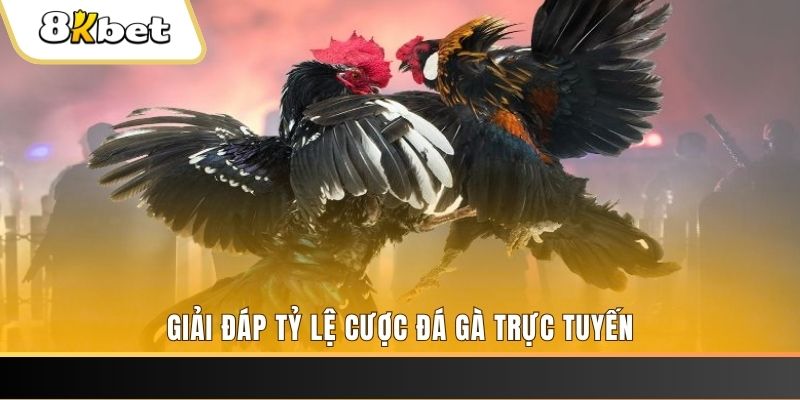 zet bet ga choi cau thanh