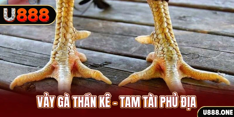 zet bet xổ số miền trung thứ hai hàng tuần
