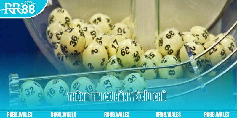 zet bet how to win at slot machines