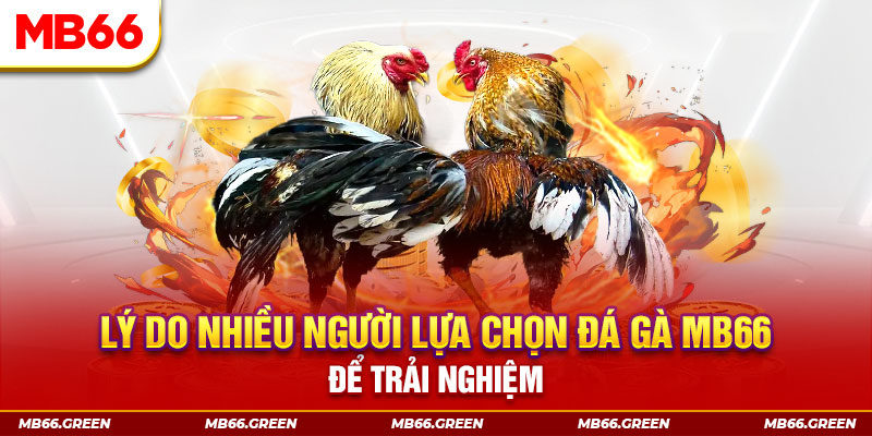 zet bet đăng nhập liêng trực tiếp