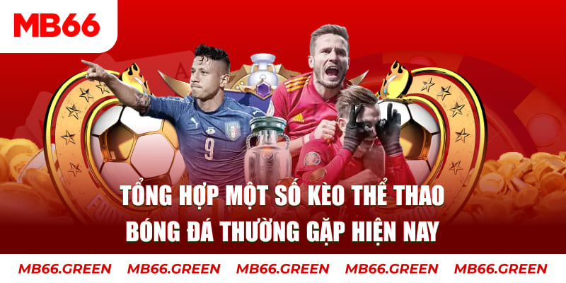zet bet người chia bài trong casino gọi là gì