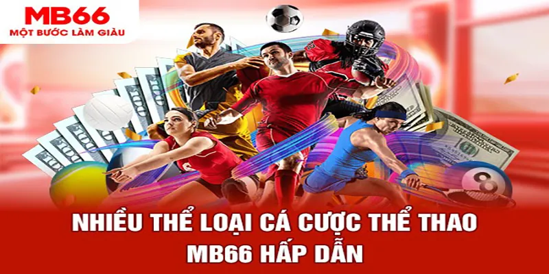 zet bet ban ca online