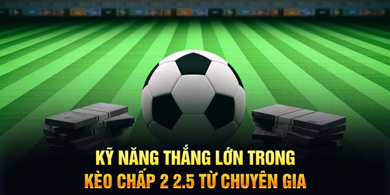 zet bet bao nhiêu điểm nổ hũ 8 bit
