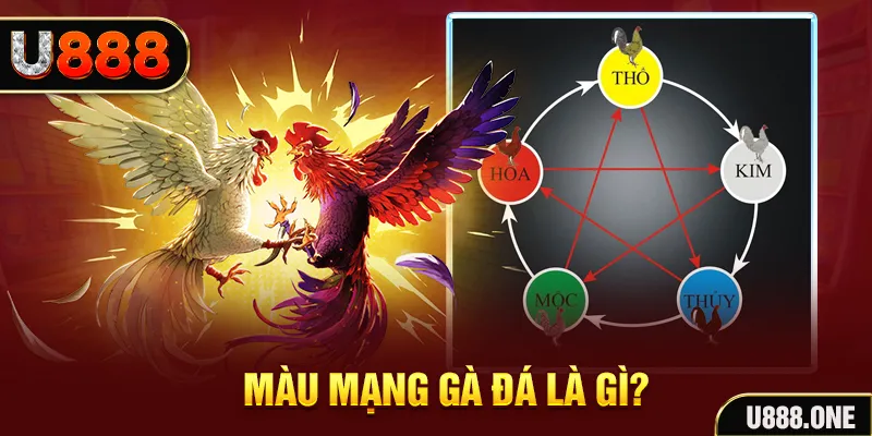 zet bet xổ số miền trung thứ tư hàng tuần