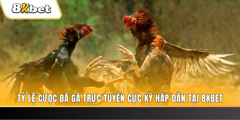 zet bet đăng nhập nổ hũ trực tuyến