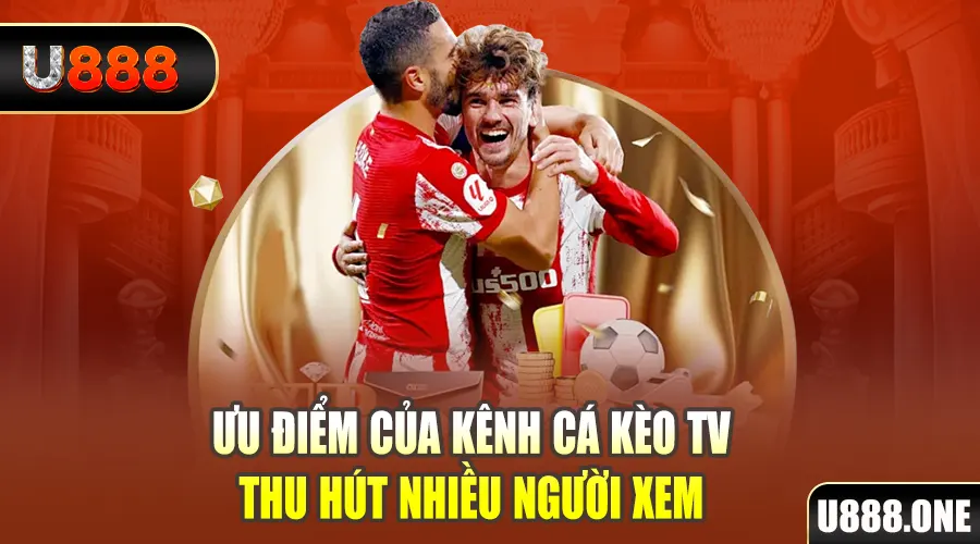 zet bet gà chọi cu cần