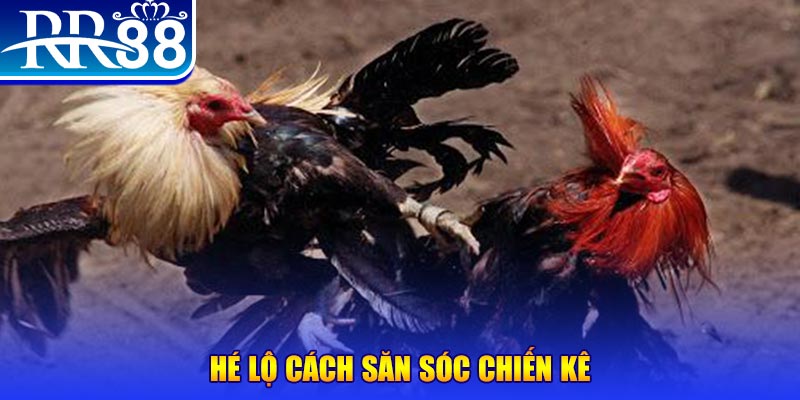zet bet xổ số miền trung thứ tư