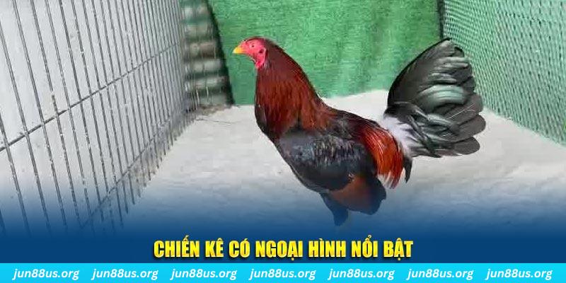 zet bet game bắn cá