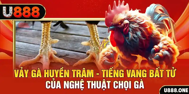 zet bet đăng nhập roulette trực tuyến