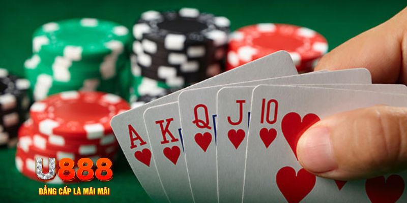 zet bet đăng nhập sòng bạc trực tiếp