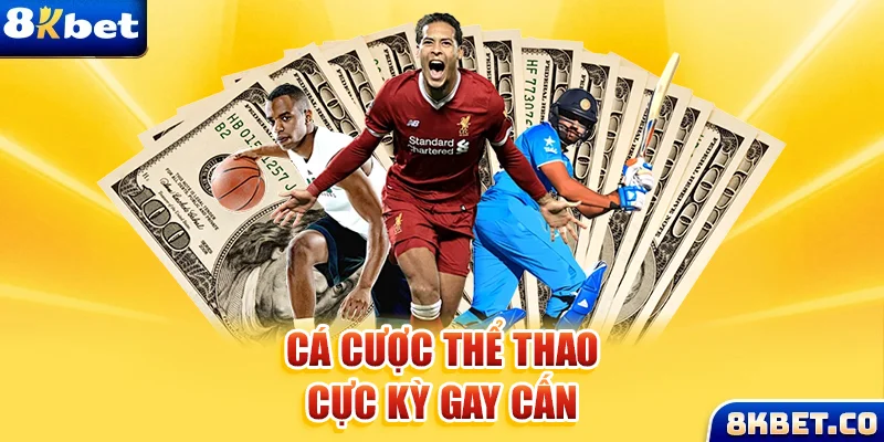 zet bet xem đá gà trực tiếp